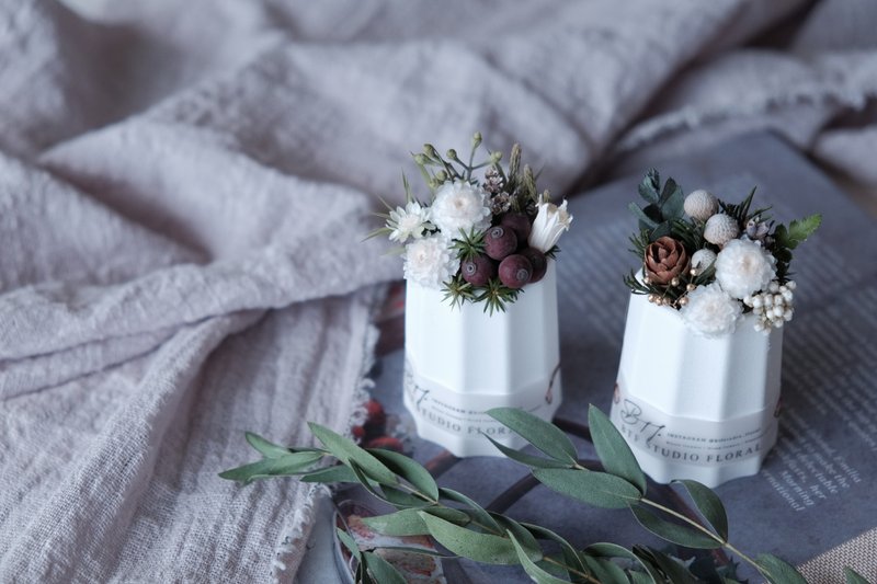 Plant Potted Flowers-Calilu Potted Flowers Forest Series Potted Flowers Christmas Gift (with Handwritten English Blessing Card) - ช่อดอกไม้แห้ง - พืช/ดอกไม้ สีเขียว