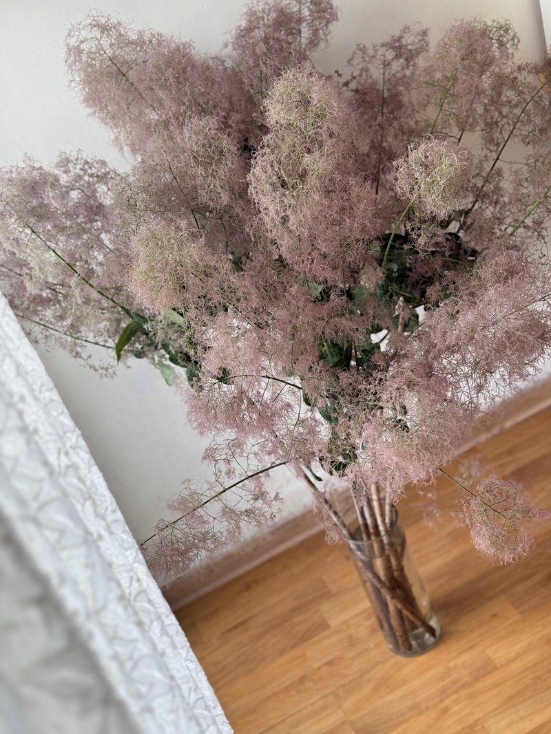 煙霧樹 日本進口花材 家居佈置 擺拍道具 - 乾燥花/永生花 - 植物．花 粉紅色