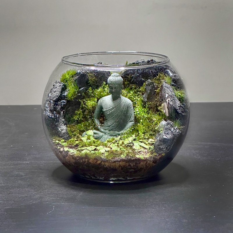 Palm-sized handmade micro-landscape ecological basin – the Zen feeling deep in the cave - ตกแต่งต้นไม้ - พืช/ดอกไม้ 