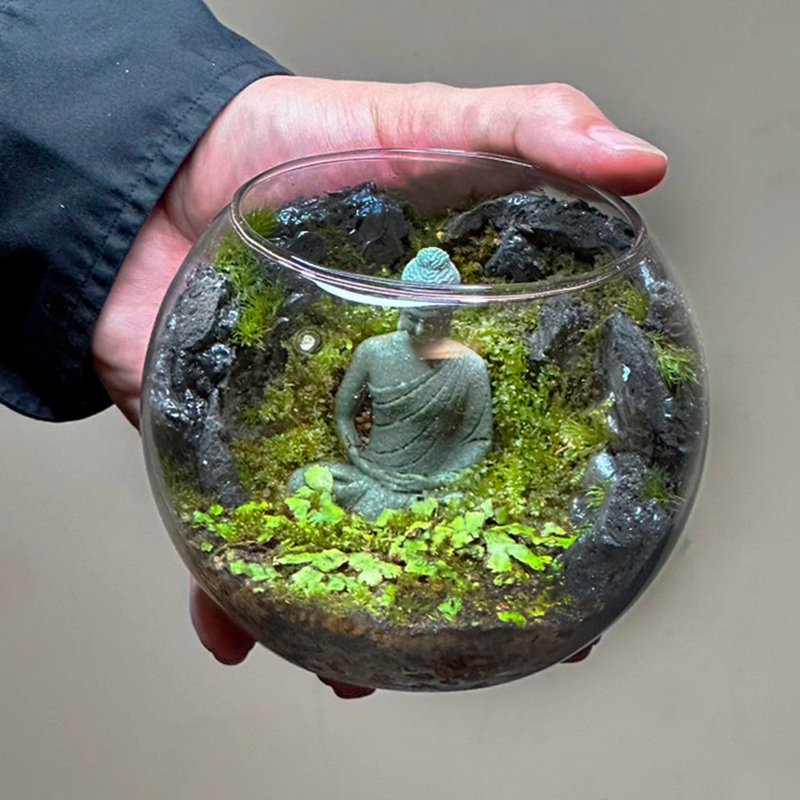 窟中之禪 / 主題性客製化造景生態缸 - 盆栽/植栽 - 植物．花 