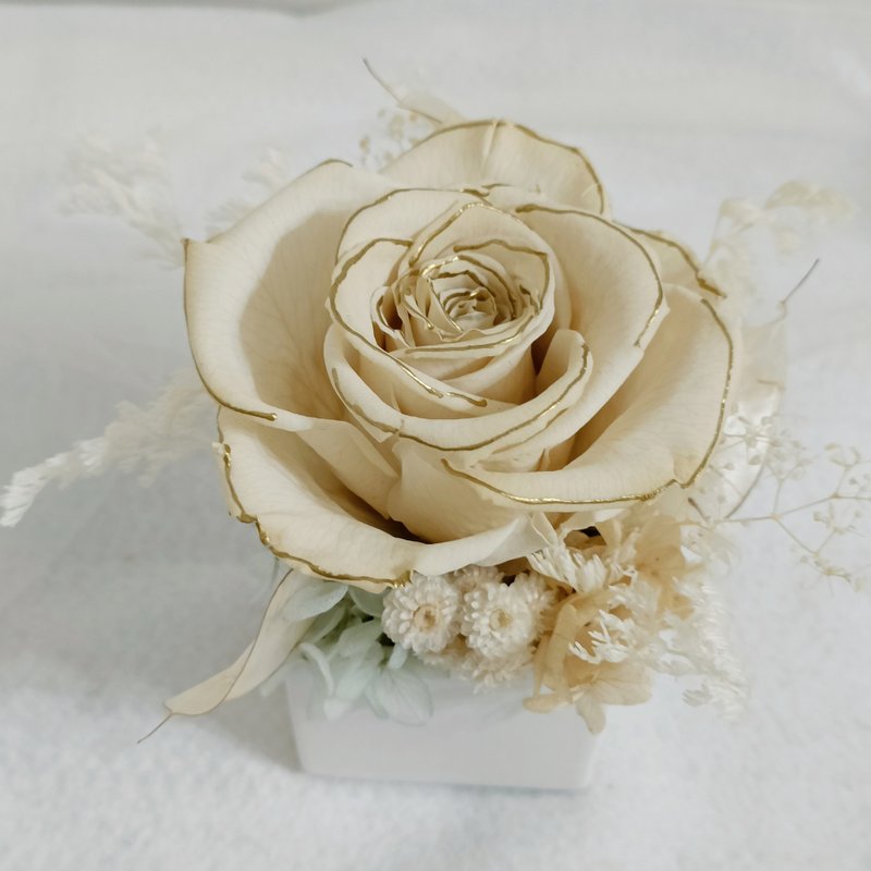 永生藍白金玫瑰盆桌花 求婚告白情人節生日男/女生中秋客製化禮物 - 乾燥花/永生花 - 植物．花 白色