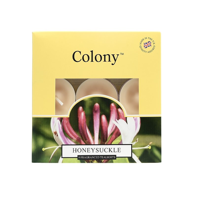 British Candle Colony Series Honeysuckle (Cold Winter) 9 Into Mini Candle - เทียน/เชิงเทียน - ขี้ผึ้ง 