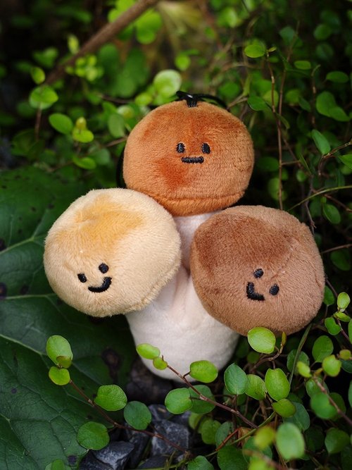 レア　不思議系かわいい　ウサミミ　きのこ　マスコットキーホルダー 雨過山オリジナル ブナシメジのぬいぐるみキーホルダー かわいいキノコ
