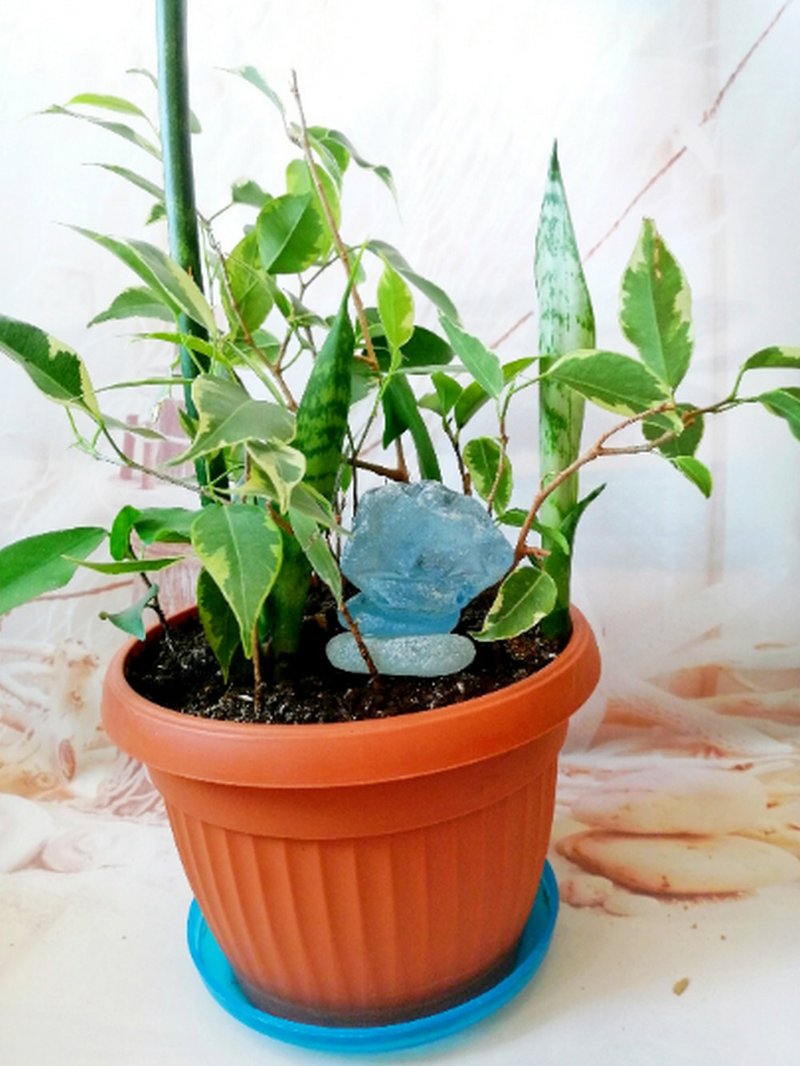 Sea glass Plant decoration for Plant lover gift.Sun catcher Plant pot decoration - 盆栽/植栽 - 玻璃 藍色