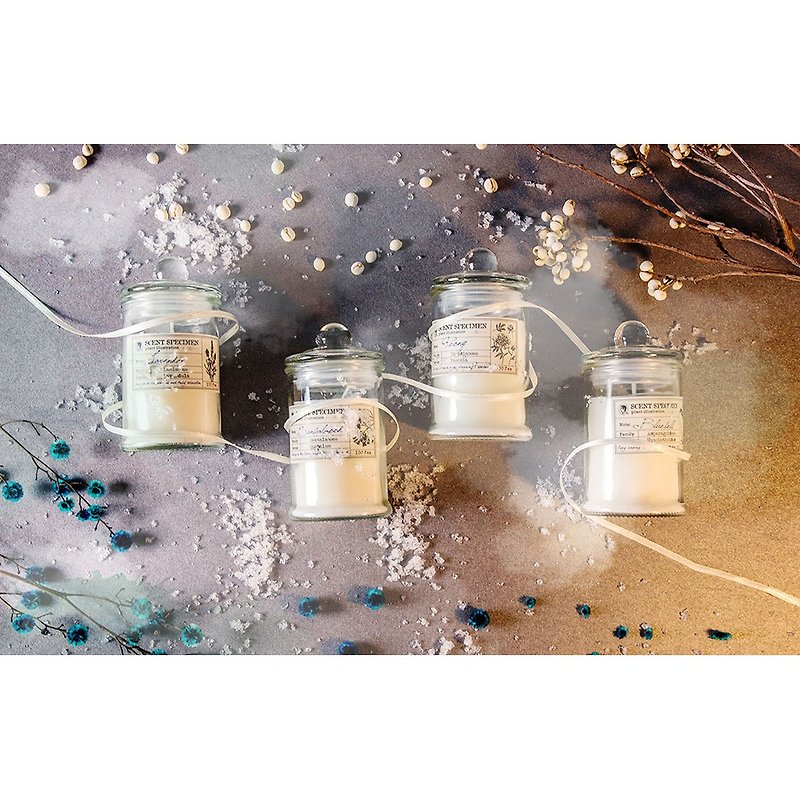 Scented specimen scented candle - (set of 4) Peony, sandalwood, lavender, blue scent - Candles & Candle Holders - Other Materials 