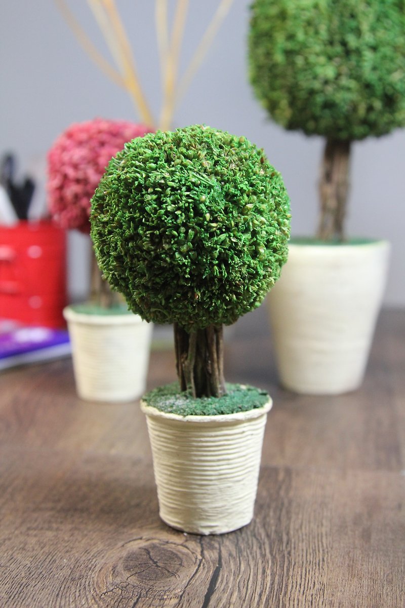 SUSS- Japanese Magnets dry flowers small fragrant tree ball ornaments (green) - a Gift - Spot free transport - ตกแต่งต้นไม้ - พืช/ดอกไม้ สีเขียว