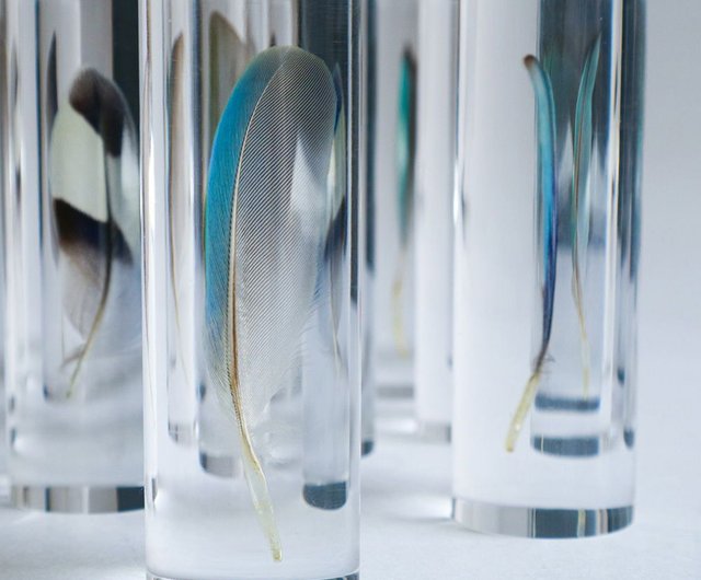 鳥の羽標本 桃色牡丹（緑） - ショップ usaginonedoko-tw 置物