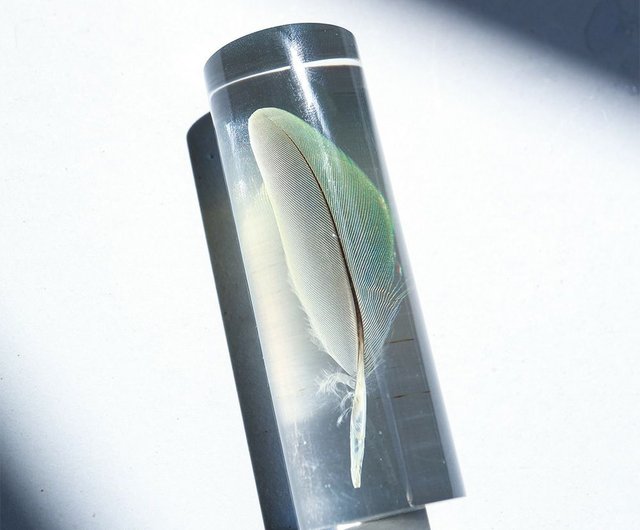 鳥の羽標本 桃色牡丹（緑） - ショップ usaginonedoko-tw 置物