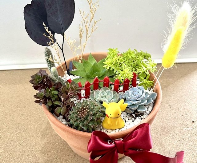 多肉植物鉢セット ポケモン ピカチュウ ディット 多肉植物鉢植え