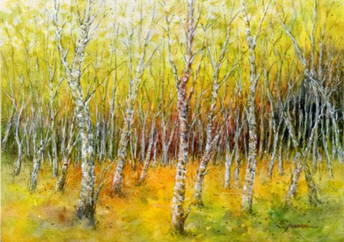 白樺林の水彩画　生原画 水彩画原画 白樺林 - ショップ 松下勝明 ポスター・絵 - Pinkoi