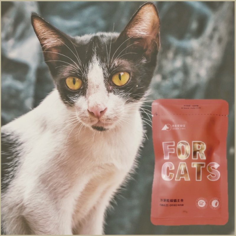 Freeze-dried cat staple food 15g accompanying package-four flavors - ขนมคบเคี้ยว - อาหารสด 