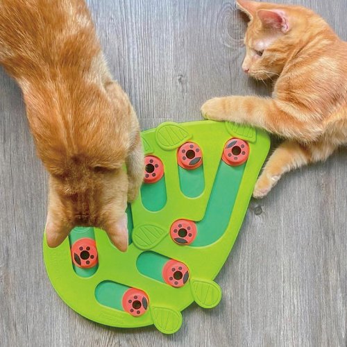 Nina Ottosson Buggin' Out Puzzle & Play Cat Game