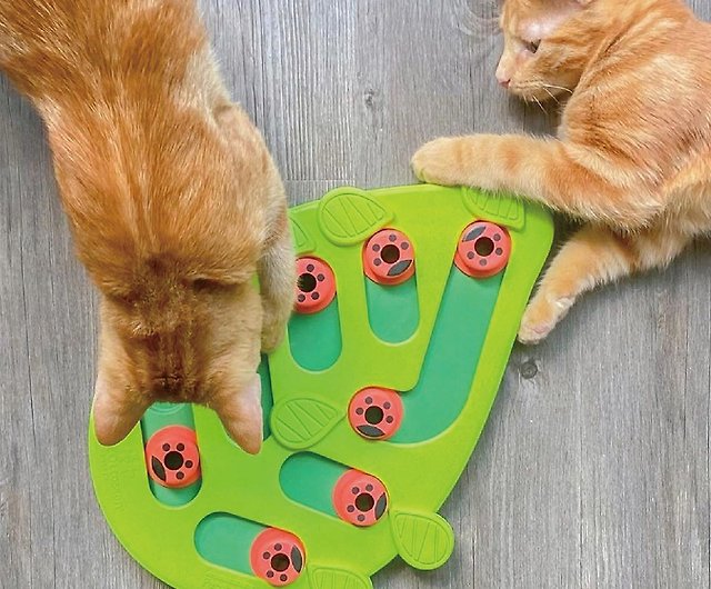 Nina Ottosson, Cat, Nina Ottosson Pet Stages Buggin Out Puzzle Play  Interactive Cat Treat Puzzle