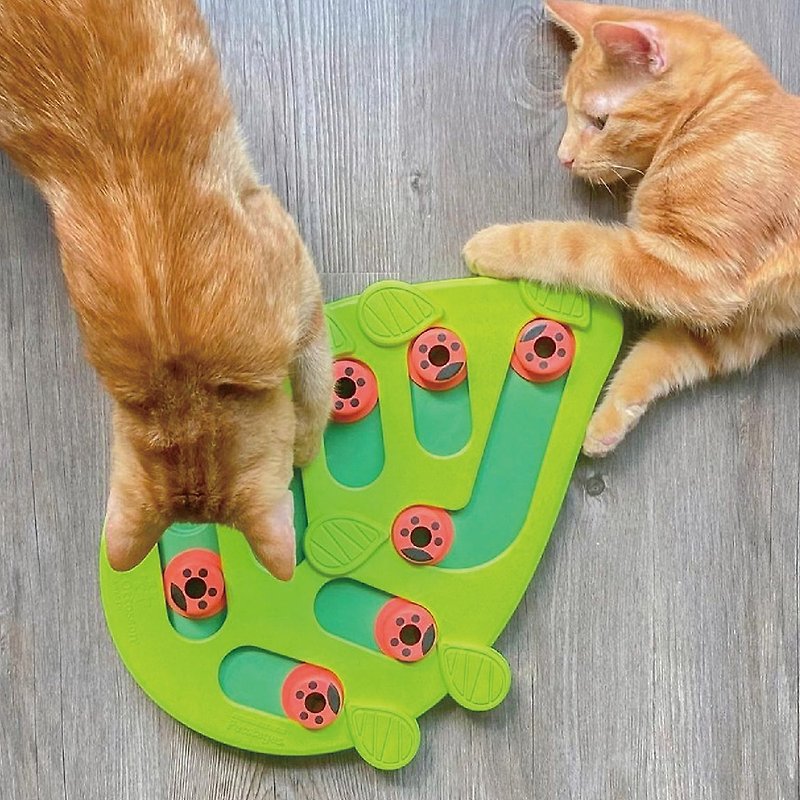 Rubber Pet Toys - Nina Ottosson Buggin' Out Puzzle & Play Cat Game