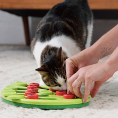 Nina Ottosson Buggin' Out Puzzle & Play - Interactive Cat Treat  game