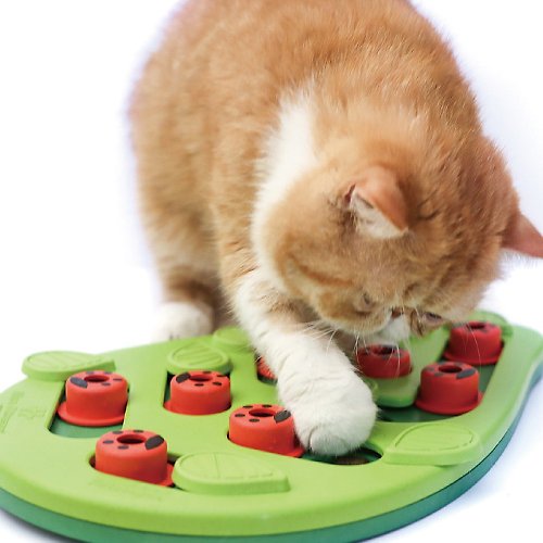 Nina Ottosson Buggin' Out Puzzle & Play Cat Game - Shop Outward Hound Pet  Toys - Pinkoi