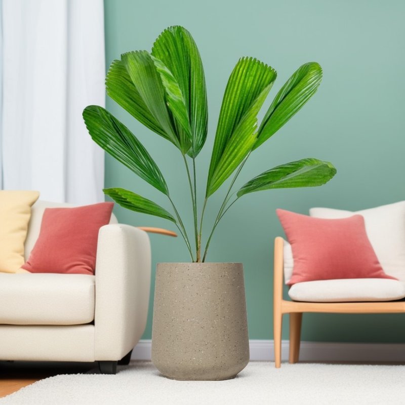 Round fan palmtail Cement potted floor-standing potted plant large potted latte Brown terrazzo flower pot opening gift - Plants - Plants & Flowers 