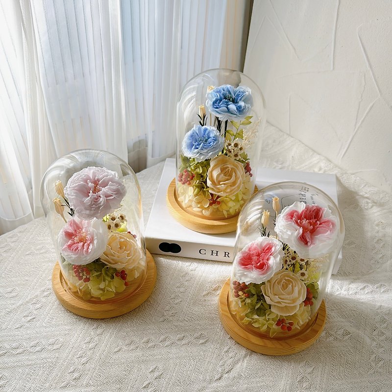 Huafang/Eternal Flower Glass Cup/Flower Cup - ช่อดอกไม้แห้ง - พืช/ดอกไม้ 