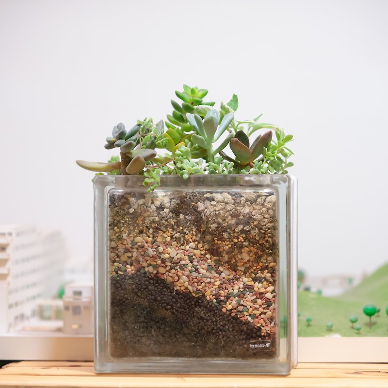 マイクロキングデザイン - 大きなガラスブロック（肉の組み合わせ） - 観葉植物 - ガラス グリーン
