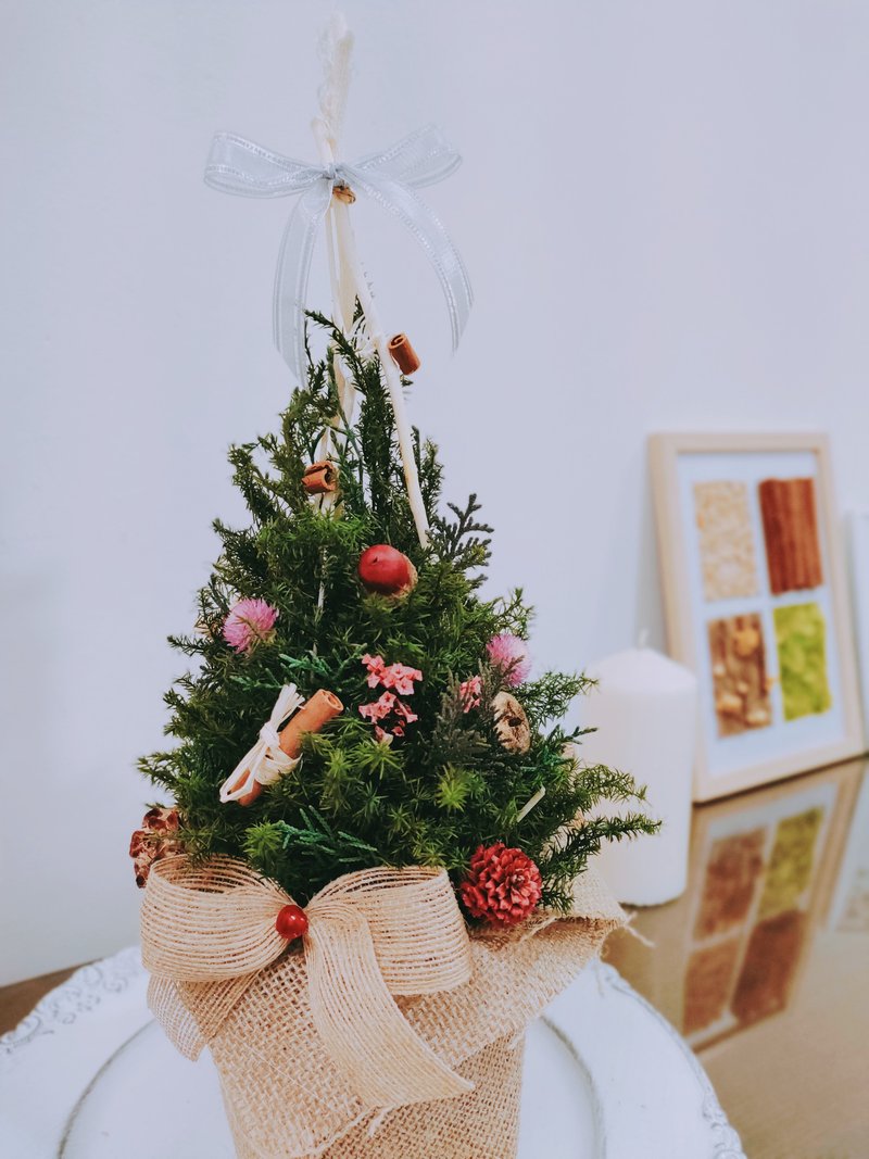 客製化禮物 永生雪松聖誕樹/交換禮物/附包裝/聖誕樹 擺飾 送禮 - 植物/盆栽/盆景 - 植物．花 綠色