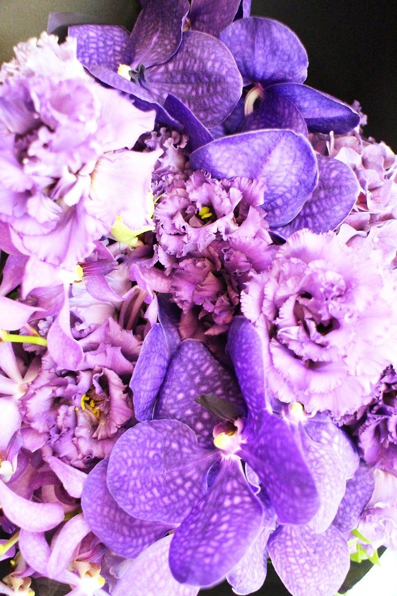 紫のロマンス - 観葉植物 - 寄せ植え・花 パープル