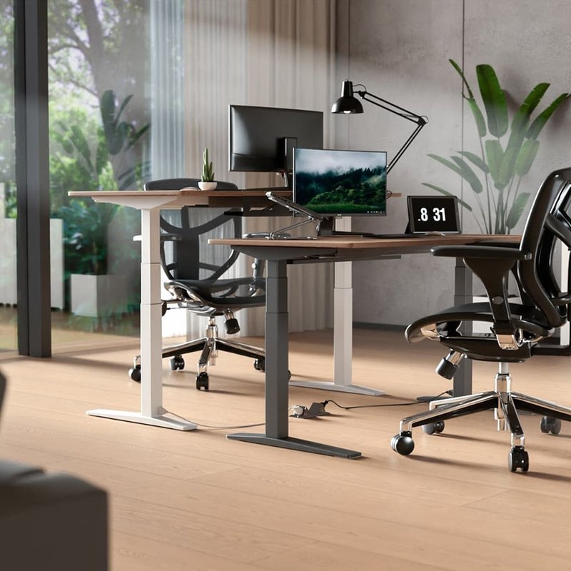 【全配版】Flexispot | 磁吸式電動升降桌 (內含理線架、延長線) - 餐桌/書桌 - 木頭 