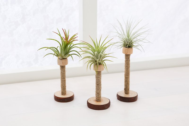 [パイナップル燭台] 植物装飾 | Shiguang - 観葉植物 - 寄せ植え・花 