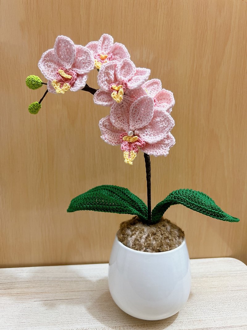 Single Phalaenopsis Orchid Decoration - Plants - Cotton & Hemp 