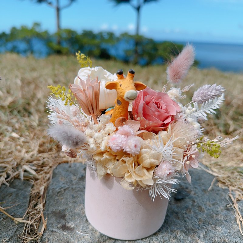 長頸鹿的花園小宇宙 永生花盆 永生花 盆花 - 乾燥花/永生花 - 植物．花 粉紅色