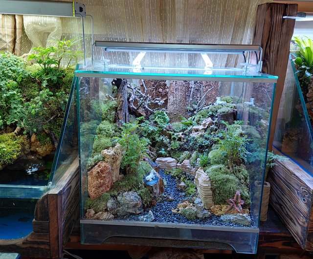 大型日本庭園風水槽 大型日本庭園風水槽 大型日本庭園風水槽 大型日本庭園風水槽 日本