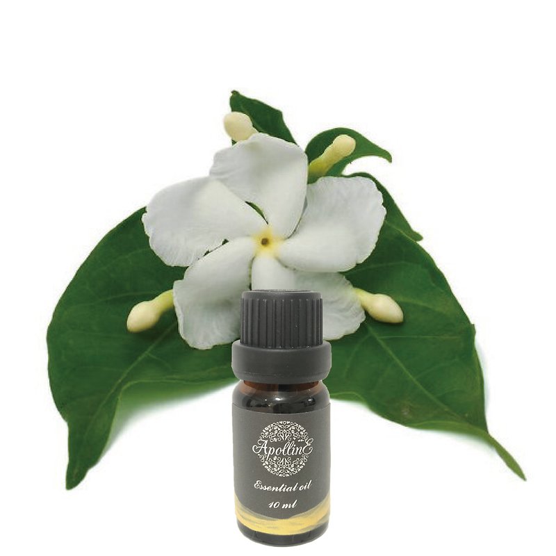 Jasmine essential oil JASMIN - Fragrances - Essential Oils 