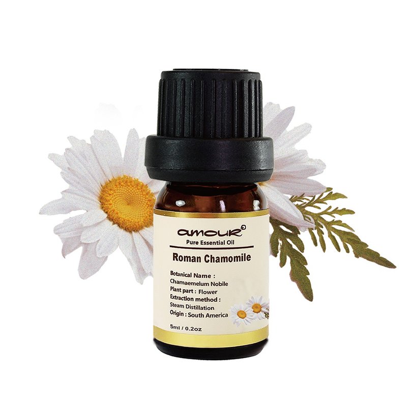 Chamomile Oil Roman 5ml - น้ำหอม - น้ำมันหอม สีส้ม