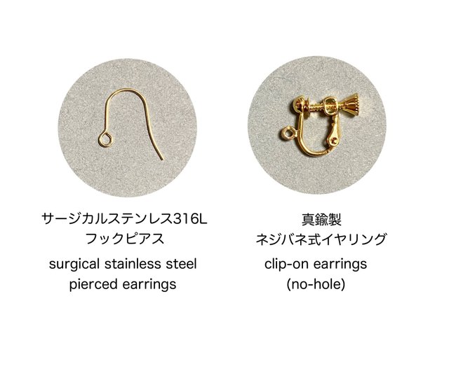 花火様♡専用ページ〔ネジバネイヤリング〕 Chizuru M様♡専用ページ〔ネジバネイヤリング〕 - メルカリ