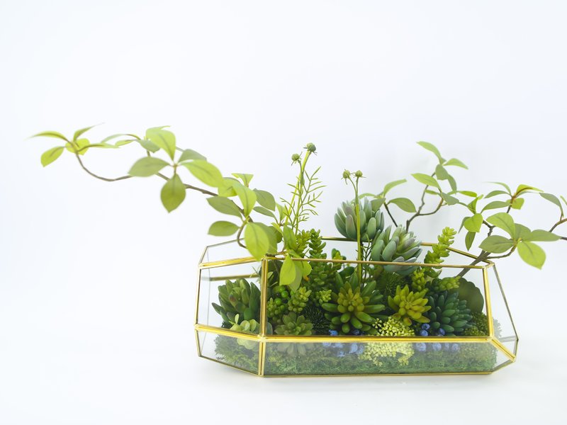多肉植物溫室生態玻璃 免運專人配送限雙北市 其餘地區需補運費 - 盆栽/植栽 - 其他材質 綠色