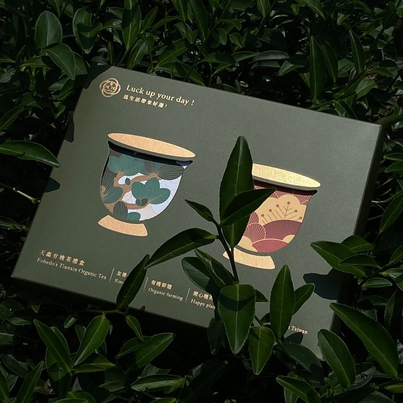 弗貝多有機茶園 / 天鑫有機茶禮盒 包種 蜜香紅 / 2024金點設計獎 - 茶葉/茶包/水果茶 - 紙 綠色