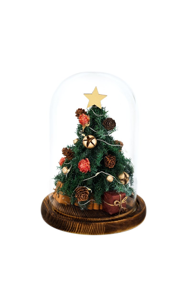 永遠のクリスマスツリー ガラスカバー - ドライフラワー・ブーケ - 寄せ植え・花 グリーン