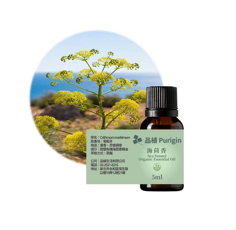 Purigin sea fennel EU organic essential oil - น้ำหอม - น้ำมันหอม 