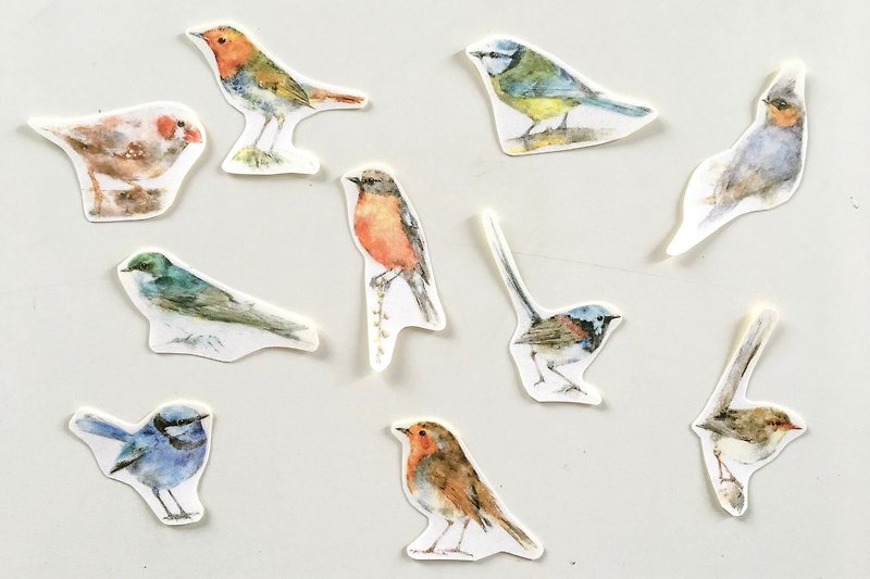 Bird sticker set G - Stickers - Paper 