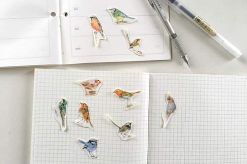 Bird sticker set G