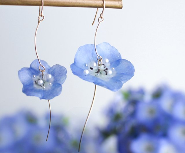 Nemophila earrings,14k gold filled,dried flowers,#148,Baby blue