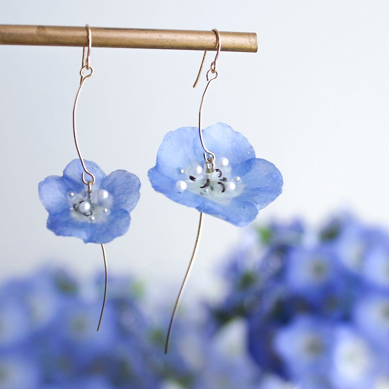 Nemophila earrings,14k gold filled,dried flowers,#148,Baby blue eyes,ネモフィラ - ピアス・イヤリング - 寄せ植え・花 ブルー