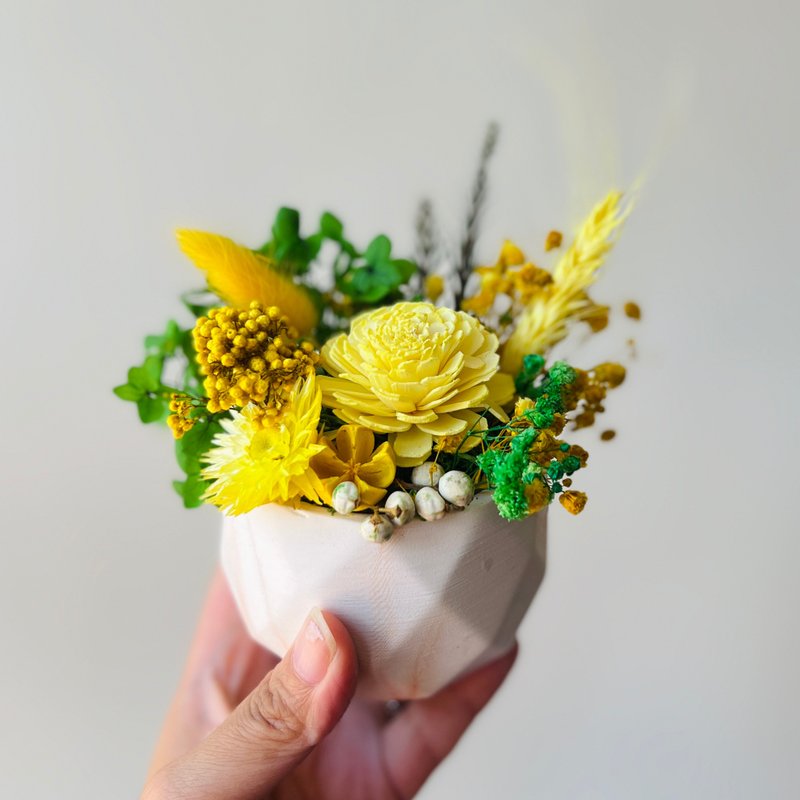 黃色擴香永生小盆栽-桌上芳香小盆栽 擴香花盆栽 永生花盆栽 - 香氛/精油/擴香 - 植物．花 