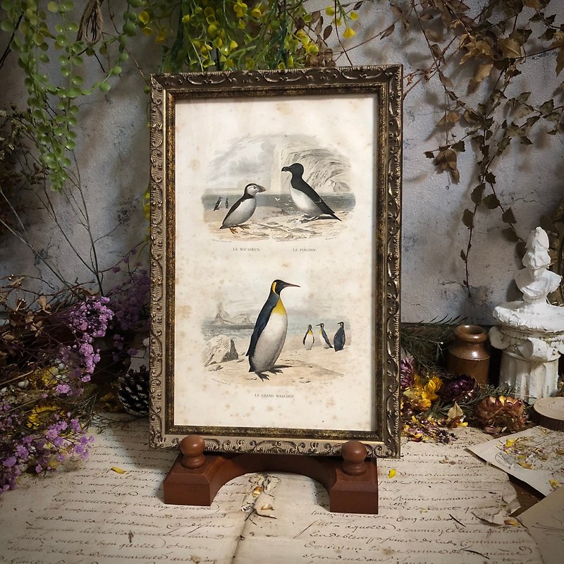 法國百年企鵝雕刻手工上色-重新裱框版畫 - 牆貼/牆身裝飾 - 紙 卡其色