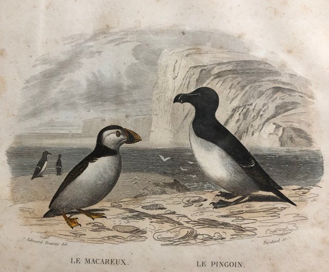 絵画 肖像画 版画 壁掛け額入り 骨董品 中国版画 【公式通販】