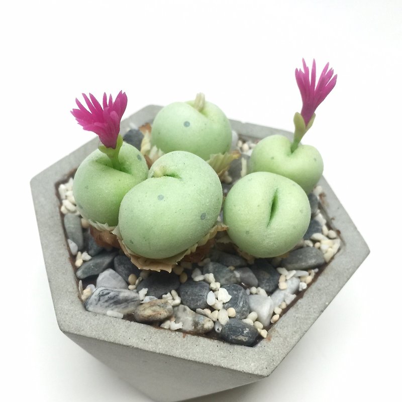 Biomimetic clay succulents - Items for Display - Clay 