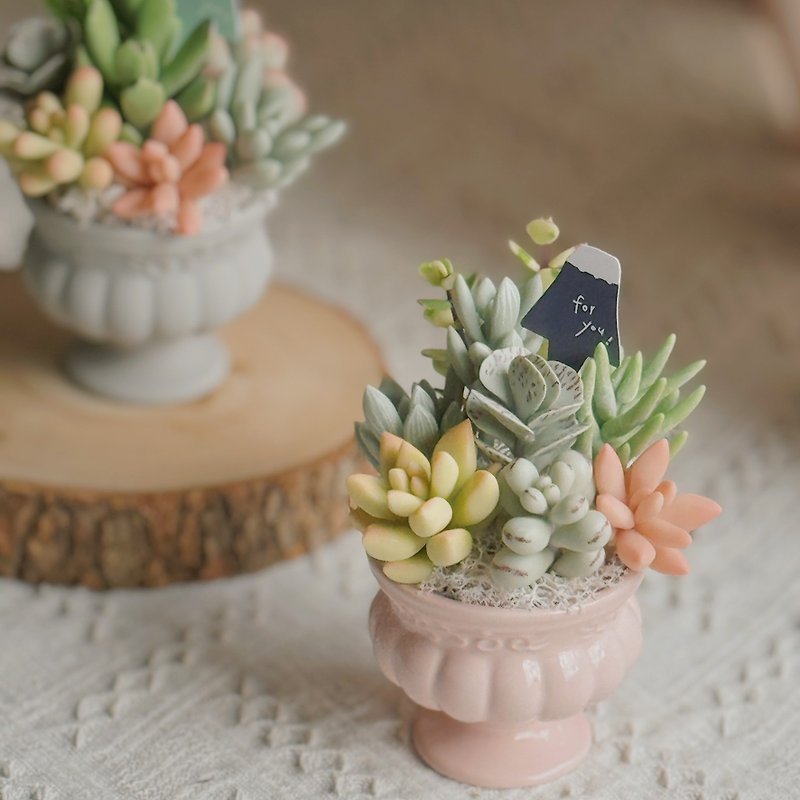 Exquisite succulents - Champions Cup (small) with gift box and bag - ของวางตกแต่ง - ดินเหนียว สีเขียว