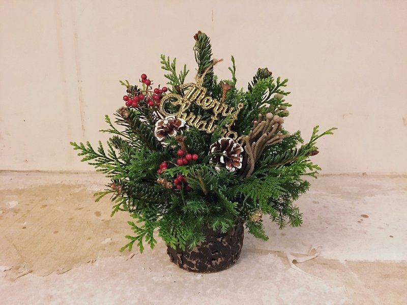 聖誕花藝手作課程-諾貝松聖誕樹桌花-含包裝/甜點飲料 - 盆栽/花藝 - 植物．花 