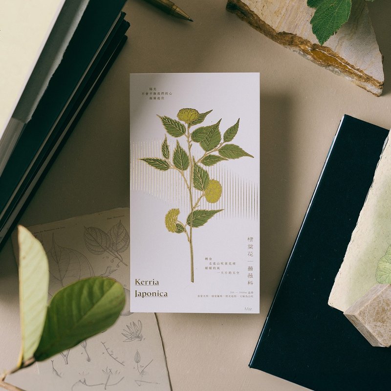 Ye Ye | 2025 Plant Illustrated Calendar - ปฏิทิน - กระดาษ สีเขียว