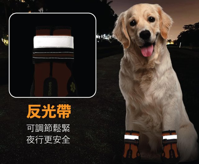 Dog training outlet shoes