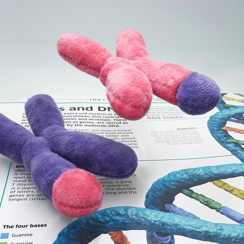 DNA chromosome plushie stuffed toy, bag charm, souvenir, geek gift - biooo - Charms - Other Man-Made Fibers Pink